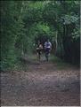 Picture 017