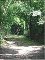Picture 034